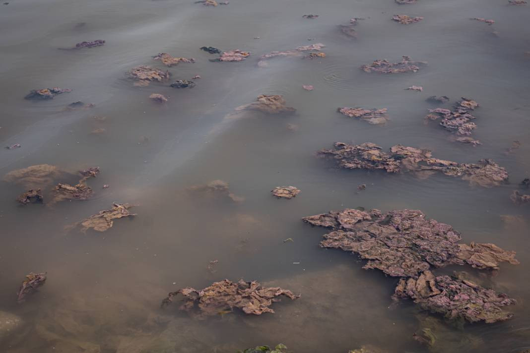 İzmir’de denizin rengi değişti! Görüntü ne ifade ediyor? - Resim: 23